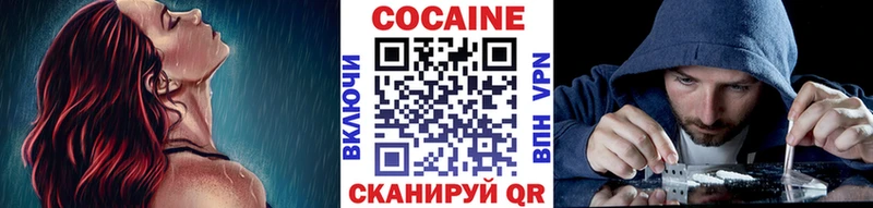 Кокаин Эквадор  как найти наркотики  Щёкино 