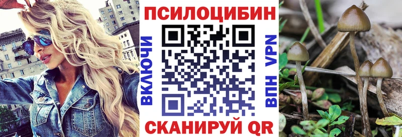 Псилоцибиновые грибы GOLDEN TEACHER купить цена Щёкино